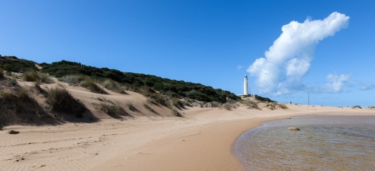Strand Faro de Trafalgar in Barbate (Cadiz)